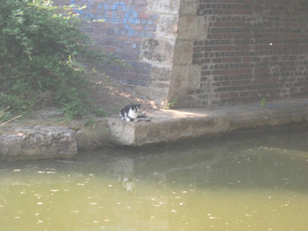 Grand Canal