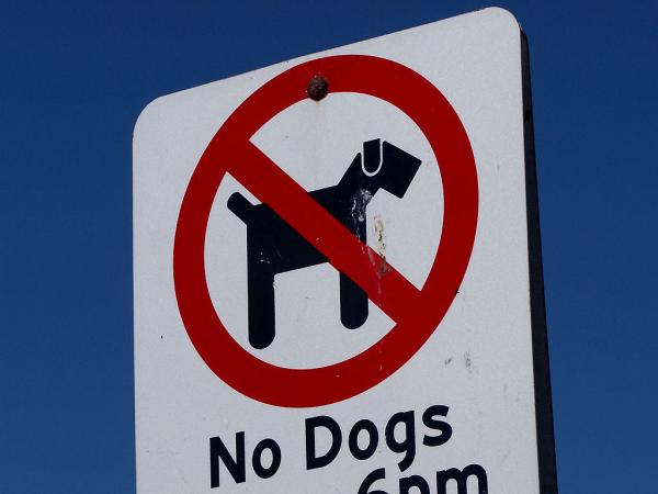 No dogs